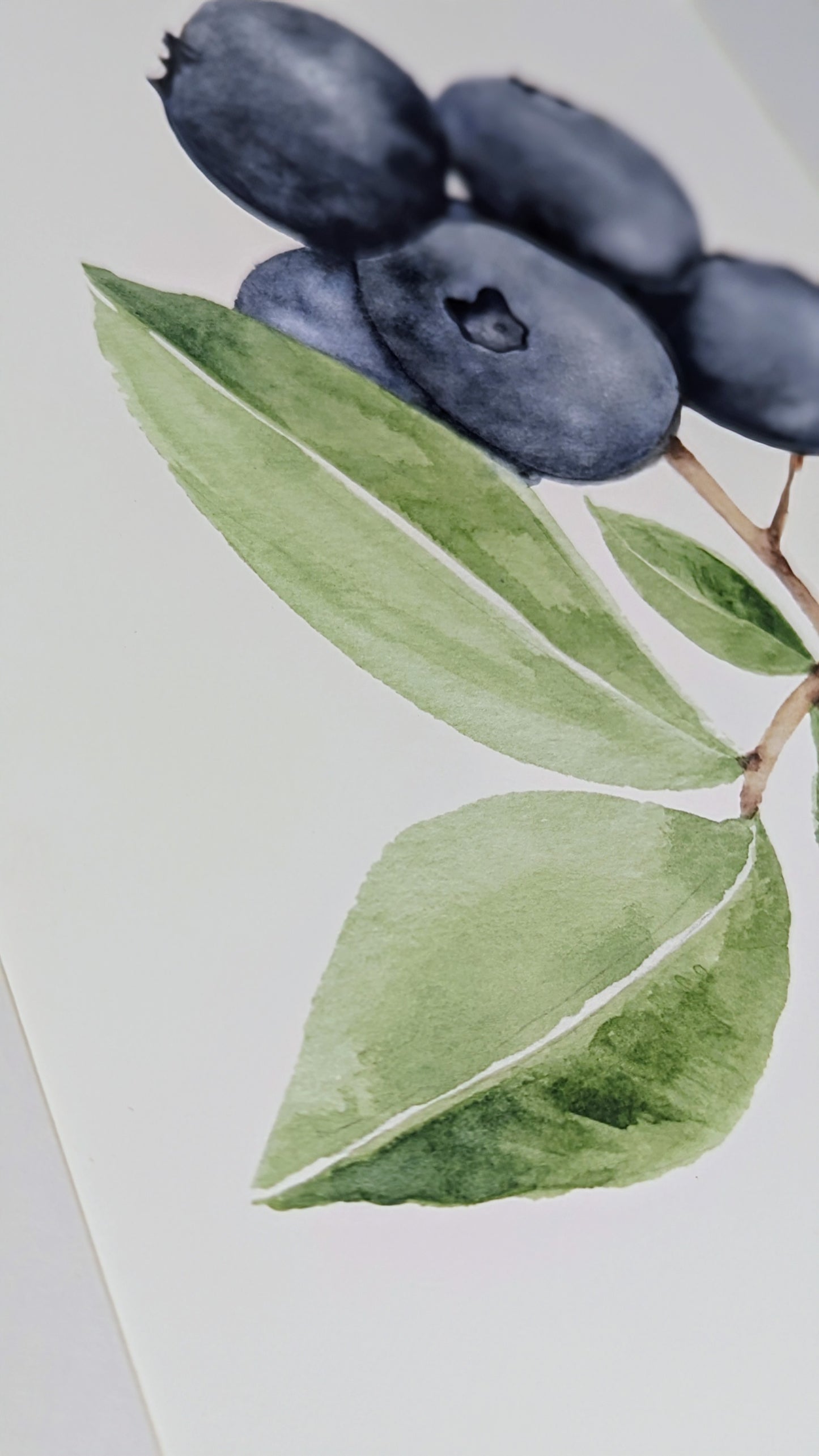 Antioxidants Fine Art Print