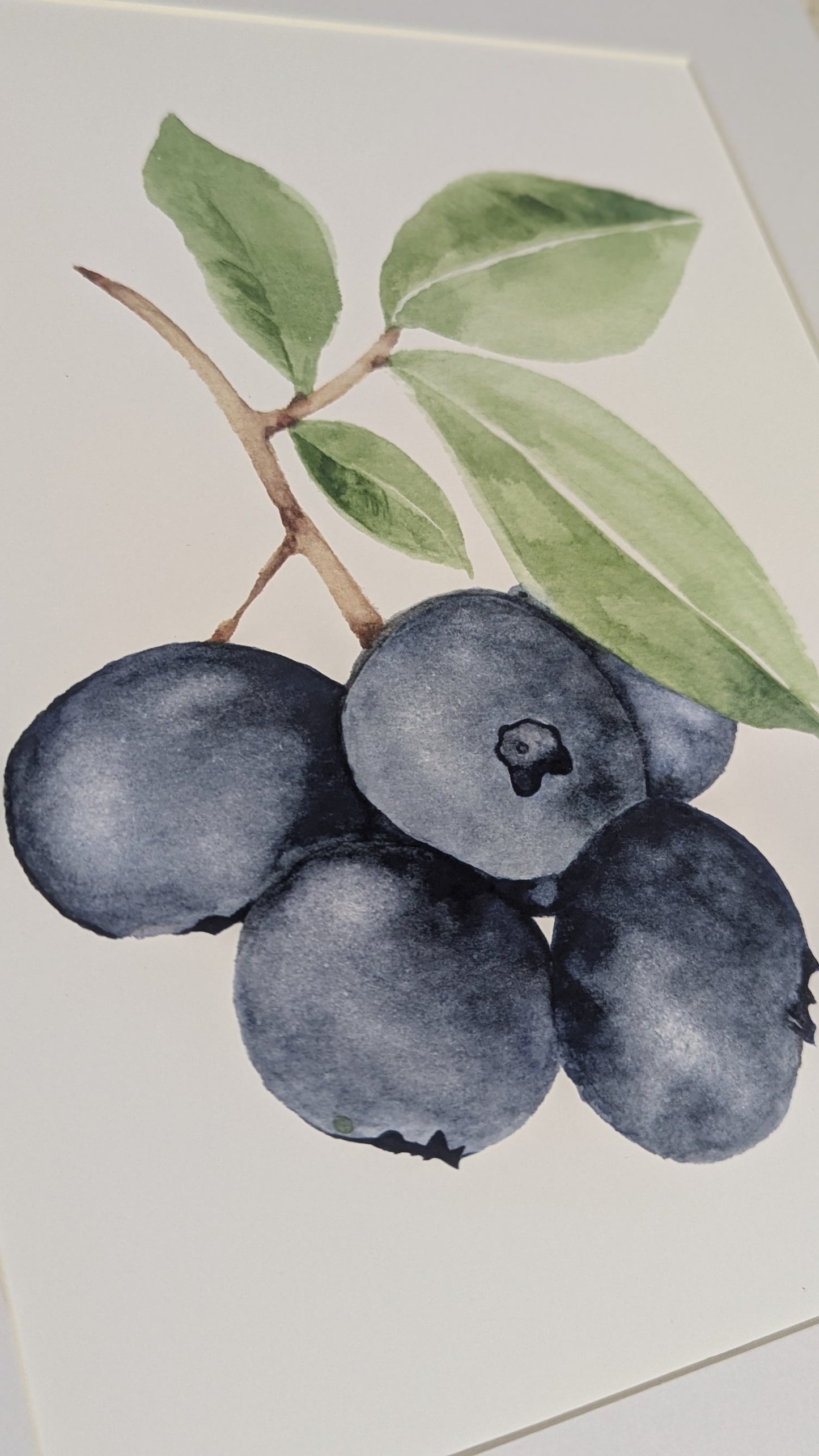 Antioxidants Fine Art Print