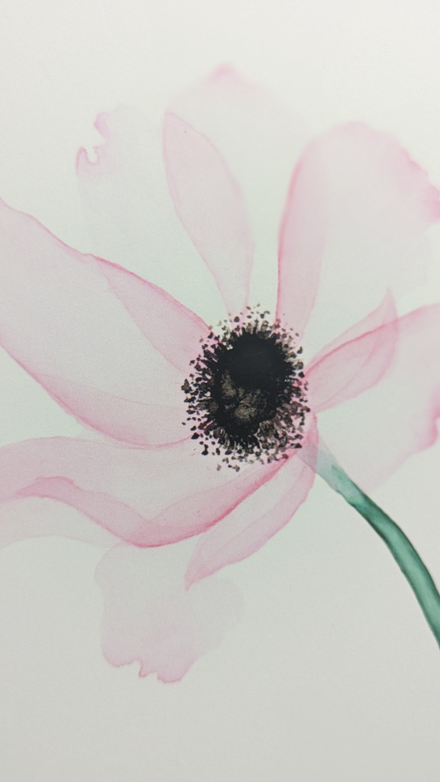 Transpire Fine Art Print