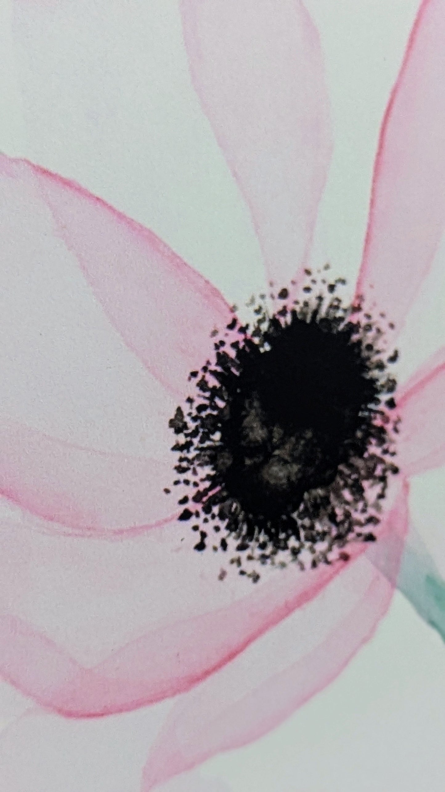 Transpire Fine Art Print