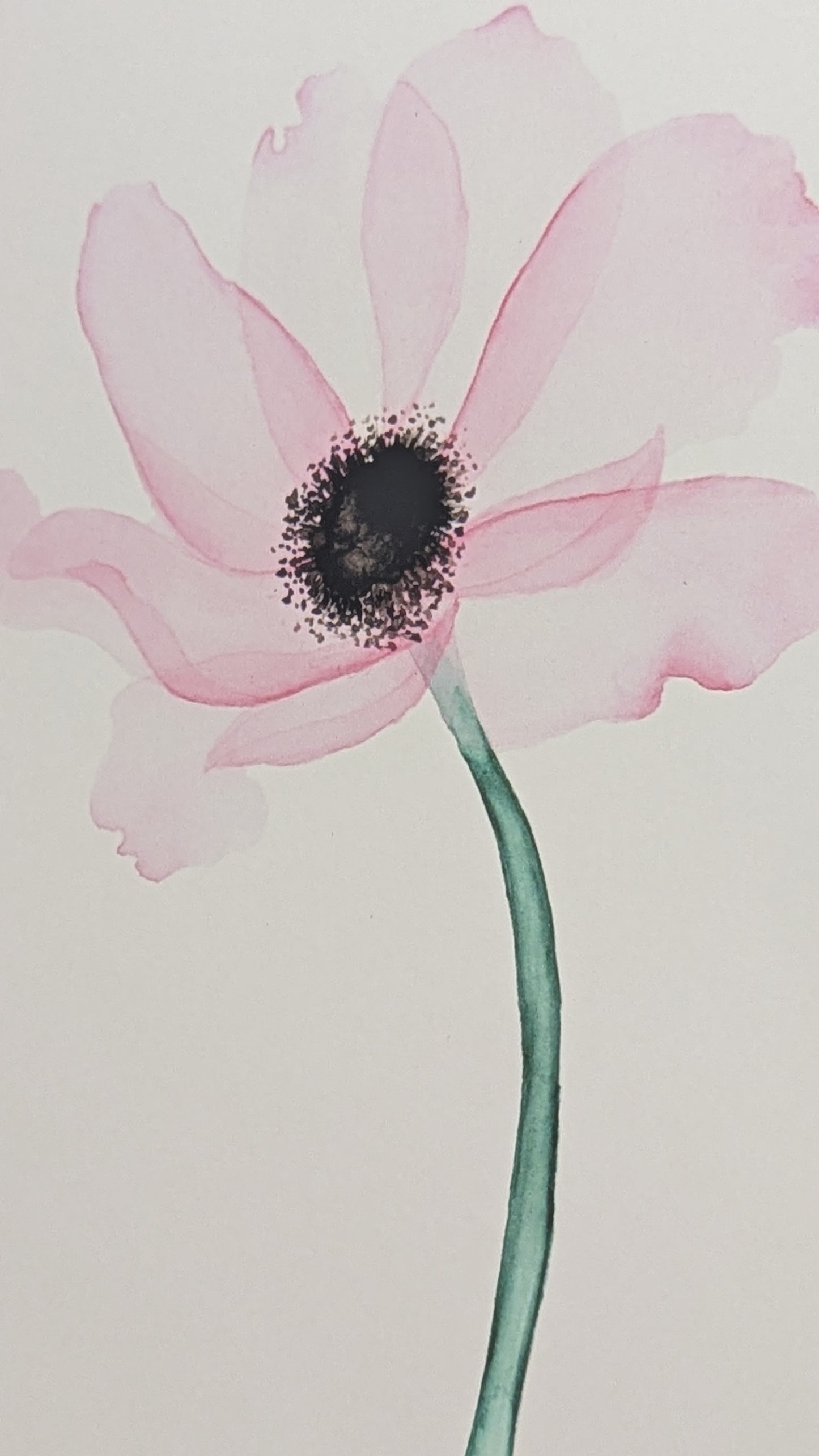 Transpire Fine Art Print